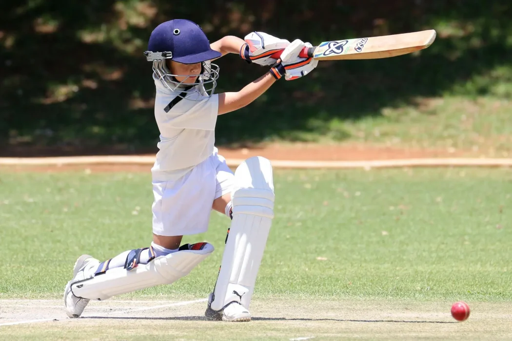 Cricket Shop Online: Finding Deals on Gear for Beginners to Pros
