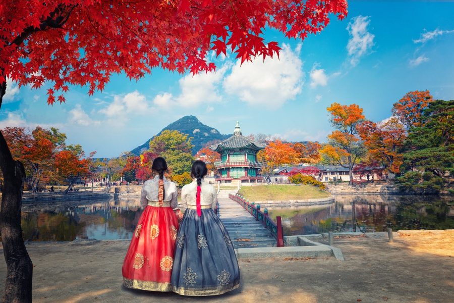 Exploring Korea’s Beauty with Customized Tour Packages for Each Passenger