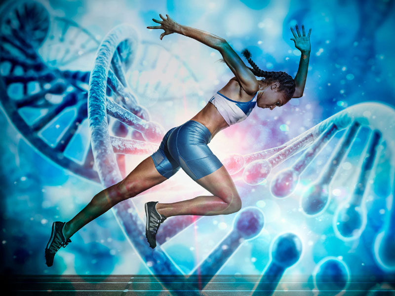 How Genetics and Sport Selection Influence the Physique of the Person?