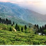 Explore Darjeeling, Gangtok, Pelling & More