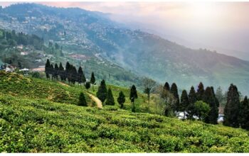 Explore Darjeeling, Gangtok, Pelling & More