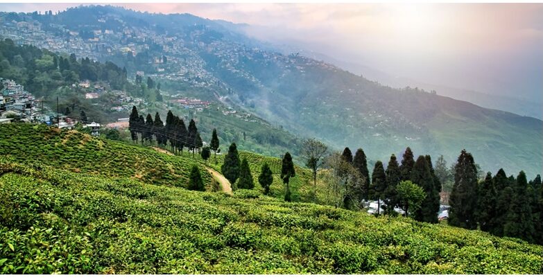 Explore Darjeeling, Gangtok, Pelling & More