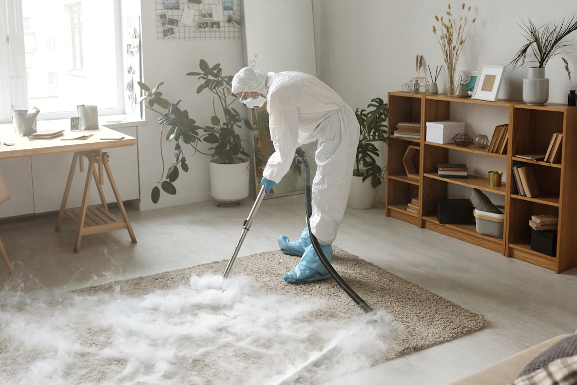 Reviving Home Carpets: Expert Cleaning for Long-Lasting Freshness